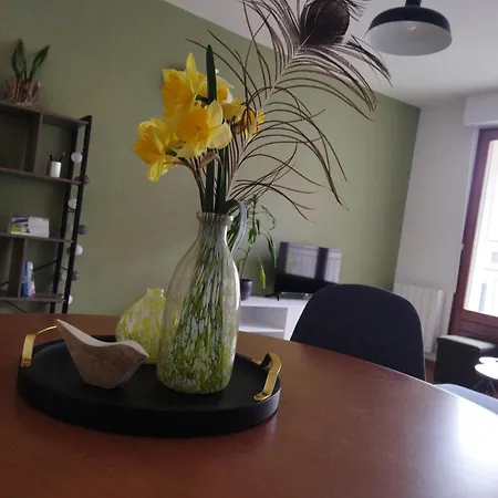 Meuble Du Plateau - Centre Gare Tgv דירה נאנסי