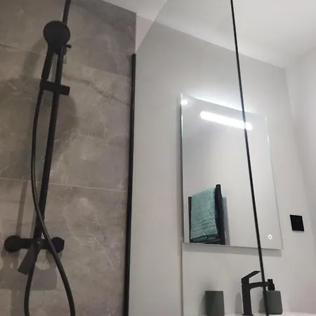 Meuble Du Plateau - Centre Gare Tgv Apartment Nancy