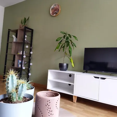 Meuble Du Plateau - Centre Gare Tgv * Nancy