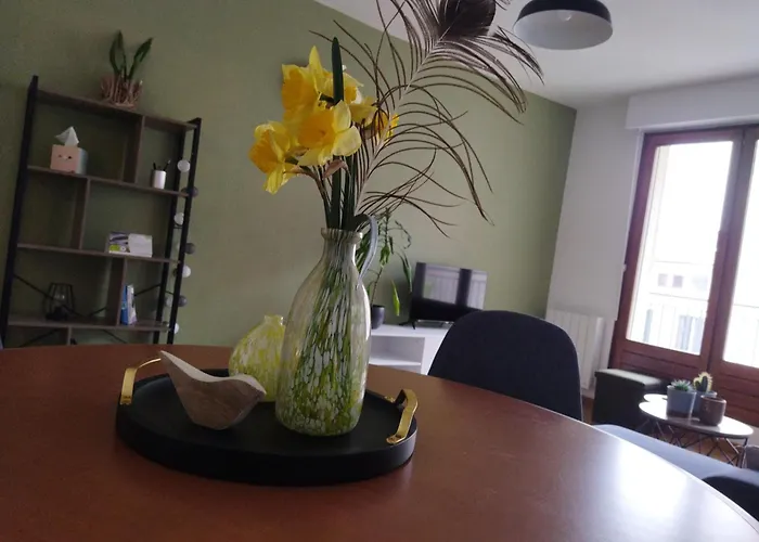 Meuble Du Plateau - Centre Gare Tgv Daire Nancy