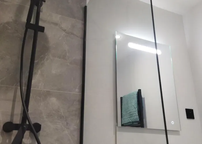 Meuble Du Plateau - Centre Gare Tgv Daire Nancy