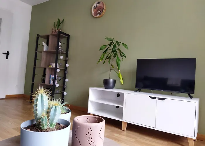 Meuble Du Plateau - Centre Gare Tgv * נאנסי